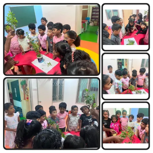 indokiddzy montessori pre