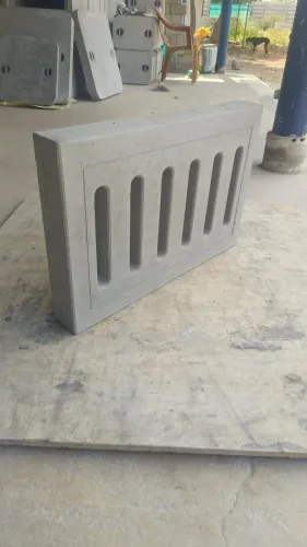 Rainforcement IGLOO type precast drain covers prot