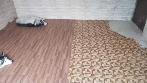 update image