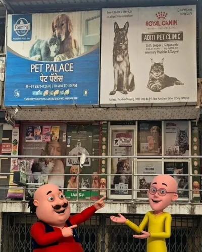 Pet palace Pet clinic and Pet 