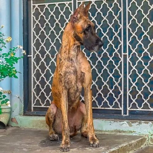 Looking for a trusted pet shop