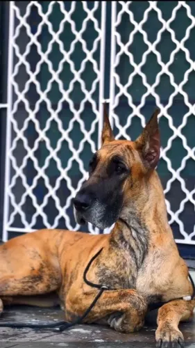 Looking for a trusted pet shop