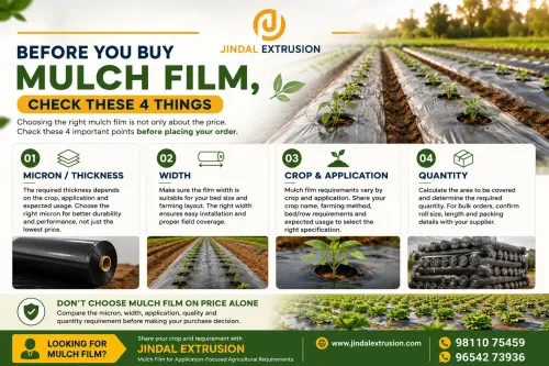 Before You Buy Mulch Film, Check These 4 Things