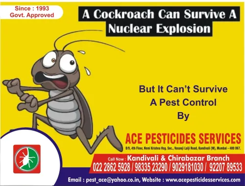 Pest Control Services in Kandi