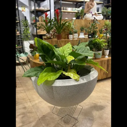 touch of greenery