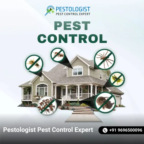 Pest Control In Jaipur Pe