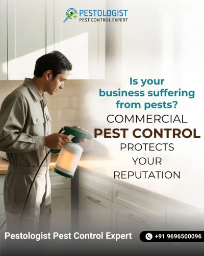 Pest Control In Jaipur Pe