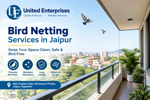 Bird Netting Services in Jaipur – Reliable Protect