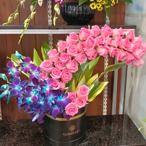 🌸 Fresh F