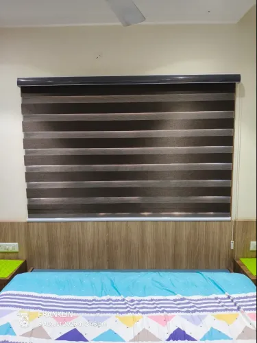 Looking for the best zebra bli