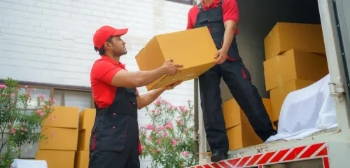 Profession