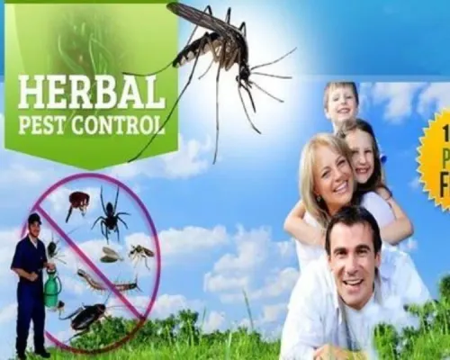 Kamal Care Services provides professional pest con