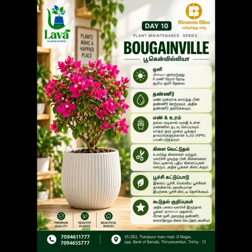 Brighten your surroundings wit