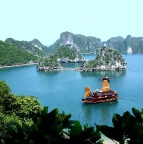 update image