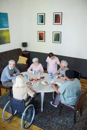 Old Age Care Requirements for
