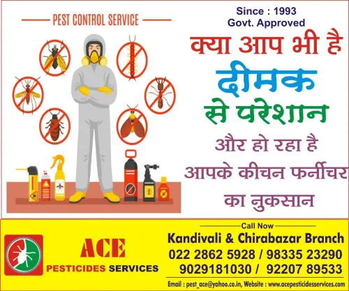Pest Control Services in Kandi