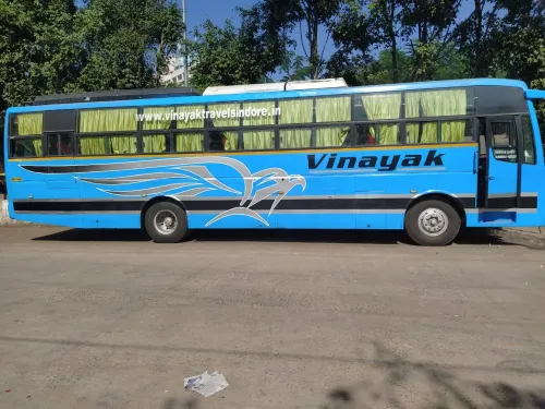 Luxury bus