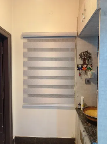 Looking for the best zebra bli