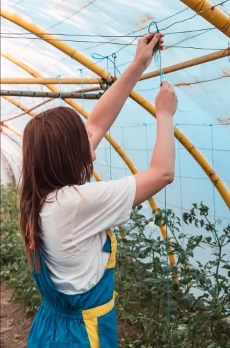 Bird Net Installation & Pigeon Protection Solution