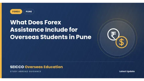 What Does Forex Assistanc