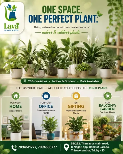 Nursery offering healthy plant