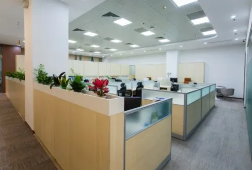 Affordable Interior Designers 