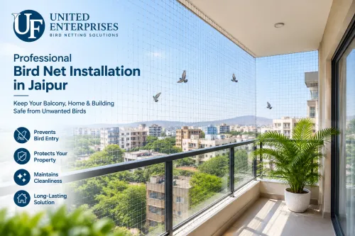 Professional Bird Net Installation in Jaipur for B