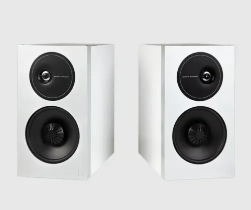 Definitive Technology d11