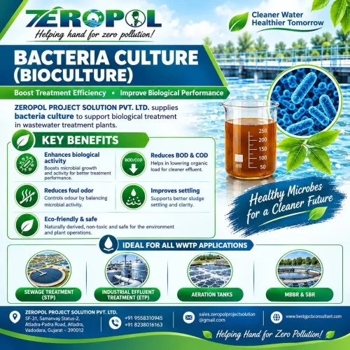 BACTERIA C