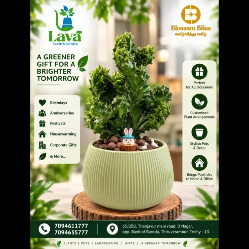 Enhance your home, garden, or