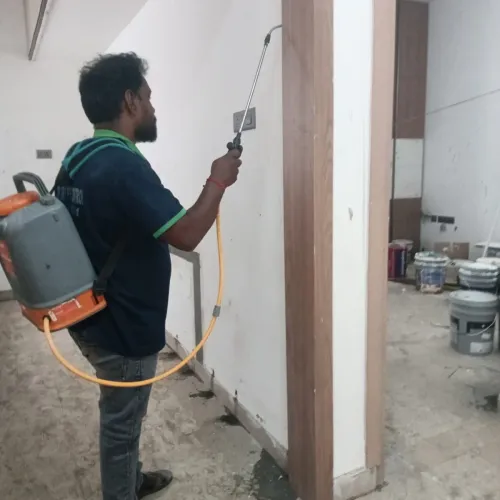 Termite control service.Gujan 