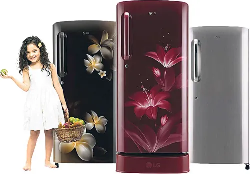 🧊 Single Door Fridge Service 