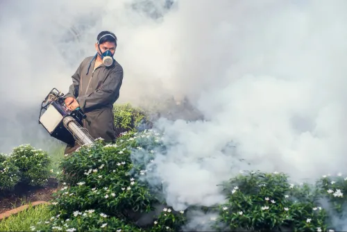 update image