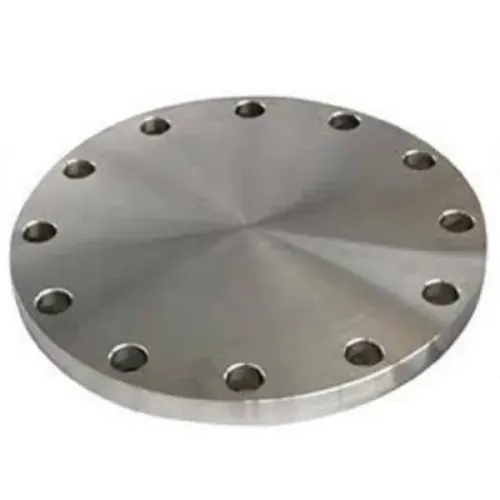 SS 316L Blind Flange Stoc