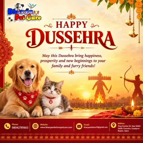 🎉 HAPPY DUSSEHRA FROM Bh