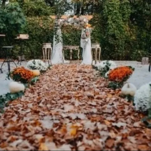 Wedding venue decoration packa