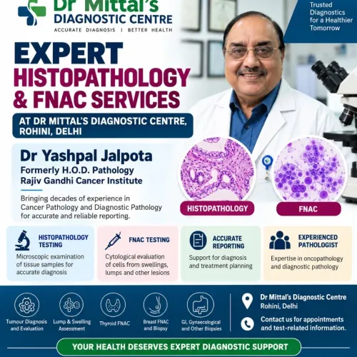 🔬 Expert 