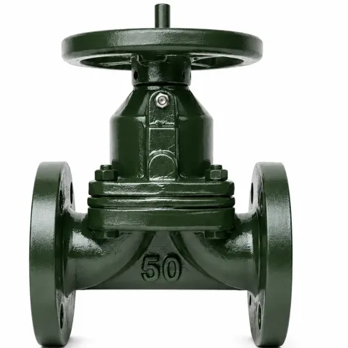 Diaphragm valveCI DIAPHRAGM VALVE We Are manufac