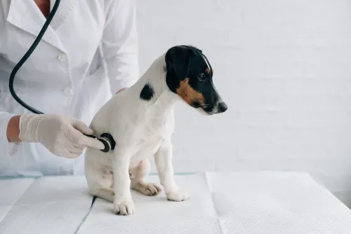 update image