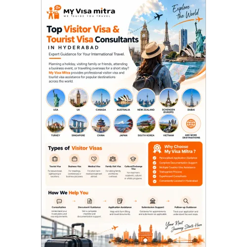 Visitor Vi