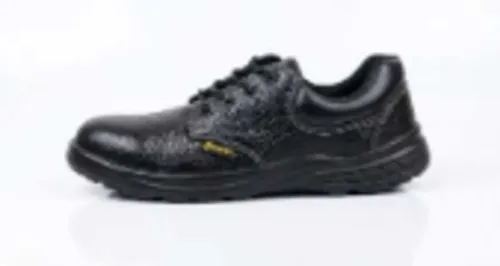 Can Safari Pro SP Ranger Solve Construction Footwe