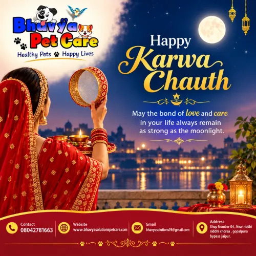 🌕 Happy Karwa Chauth! ❤️