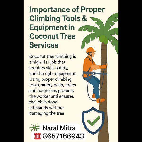 coconut tree cutting and pruni