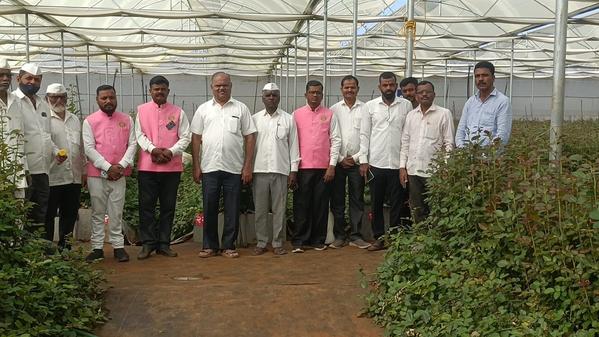 small business loan assistance