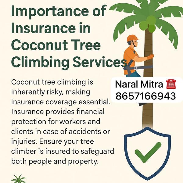 coconut tree cutting and pruni