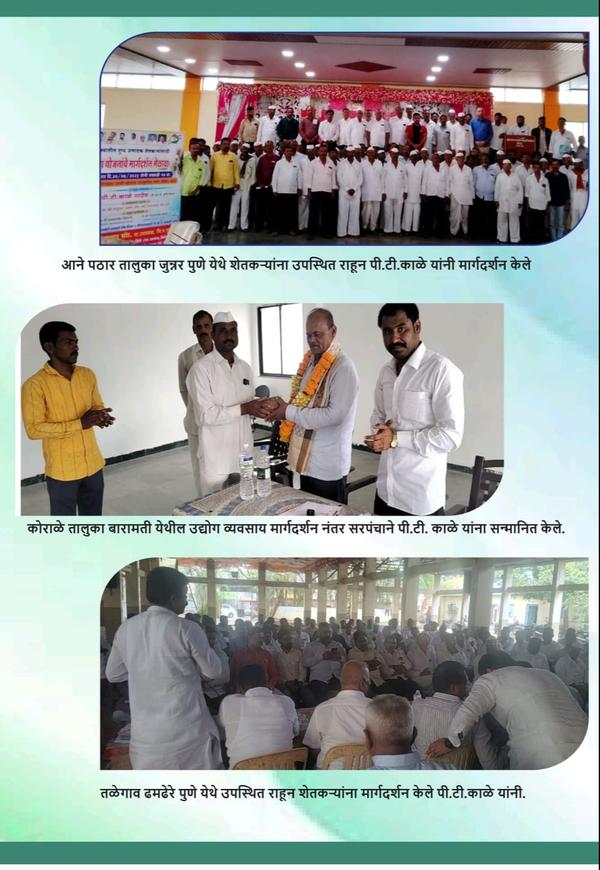 government subsidies for cow f