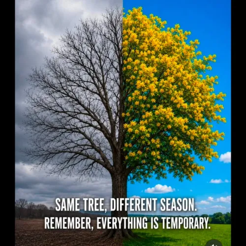 beautiful day wishes