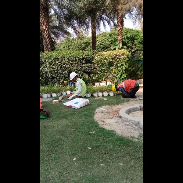 update image