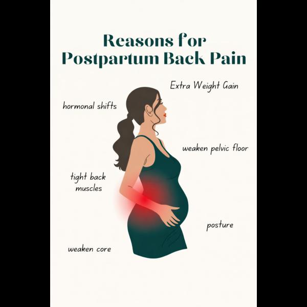 postpartum pelvic floor recove