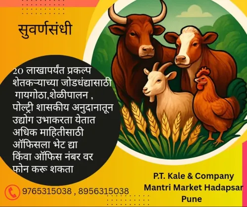 loan benefits for egg producti